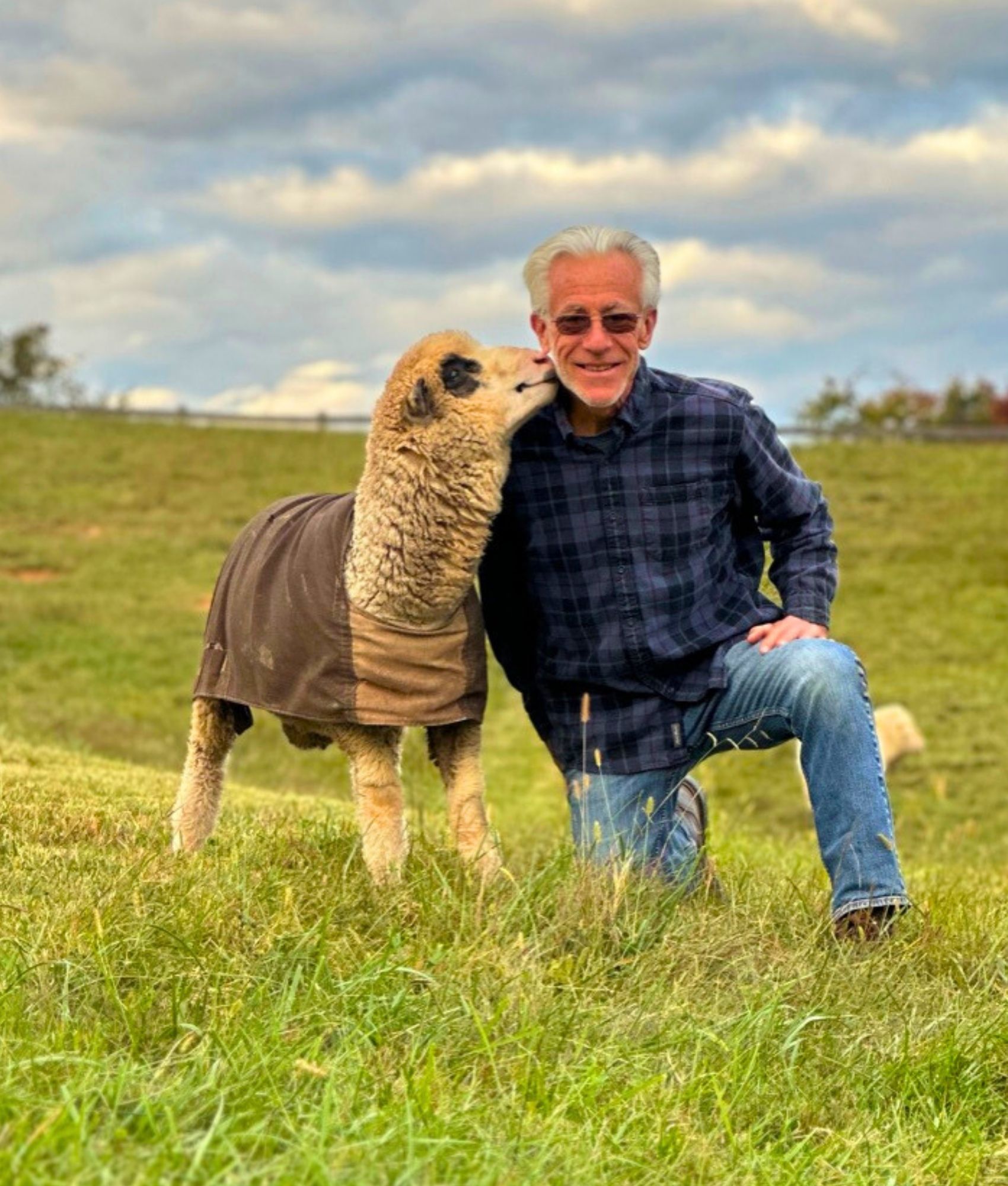 Peter with Sheep on Pasture at Merino Matron Sheep Farm
